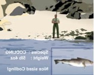 Desktop fishing halas játékok
