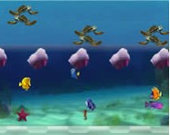 Dorys dash online