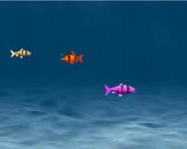 Franky the fish 2 halas játékok