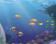 Growing fish halas játékok