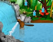 Sammy the salmon online
