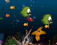 Star fish online halas játék